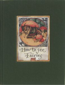 2006 CVS How to See Fairies Limited Edition cover