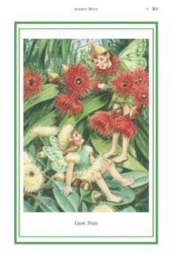 Elizabeth Alger Margaret Thornton Australian Flower Fairies Address Book Gum Tree Fairy
