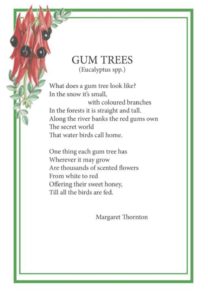 Elizabeth Alger Margaret Thornton Australian Flower Fairies Address Book Gum Tree Poem