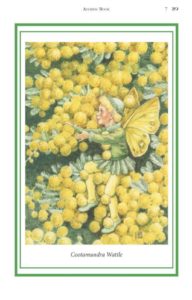 Elizabeth Alger Margaret Thornton Australian Flower Fairies Address Book Wattle Fairy