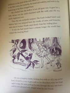 Pixie OHarris Fairy Book Contents Wattle Fairy line sm
