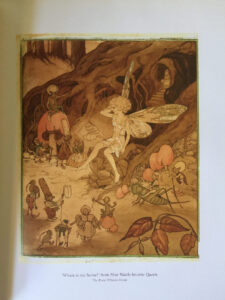 Pixie OHarris Fairy Book Contents Wattle Fairy sm