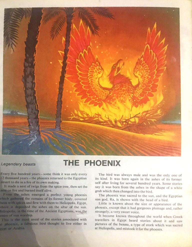 Finding Out 16 4 McBride Beasts Phoenix crop