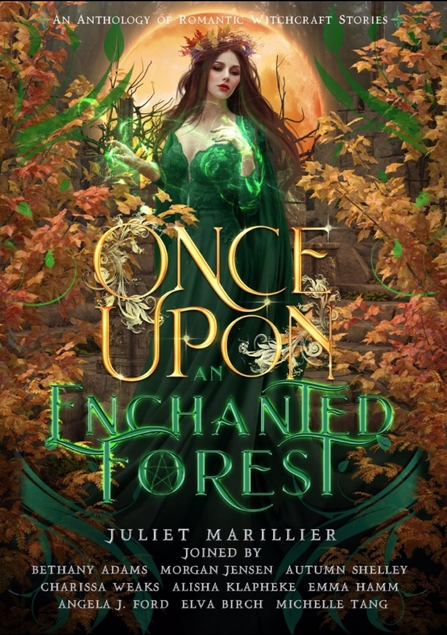 once upon an enchanted forest
