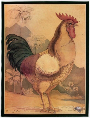 Rooster (Charles van Sandwyk, 1992)