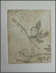 2006 CVS How to See Fairies Limited Edition int