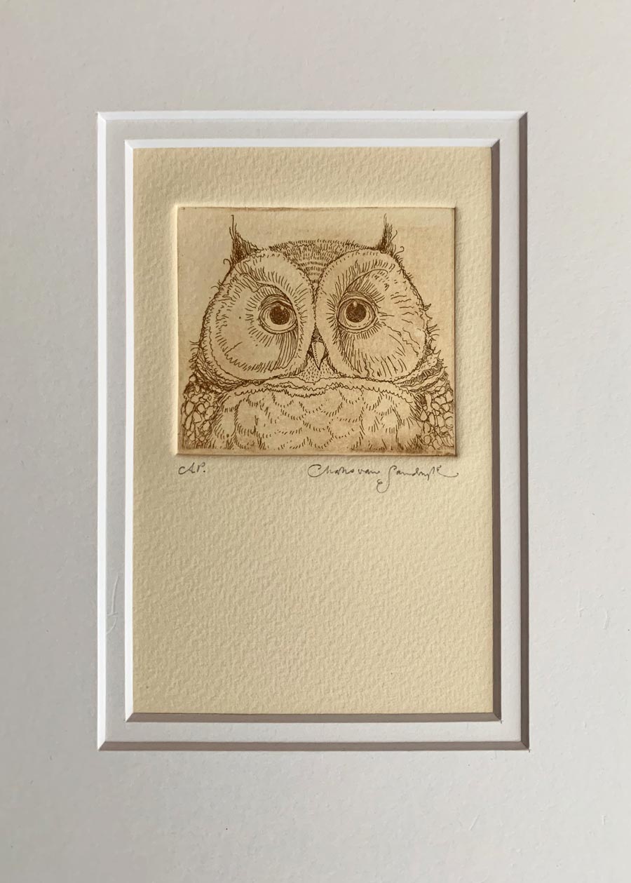 Owl etching from 'Full Moon Eyes' (Charles van Sandwyk, 2012)