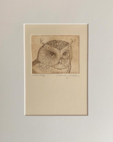 Owl etching from 'Full Moon Eyes' (Charles van Sandwyk, 2012)