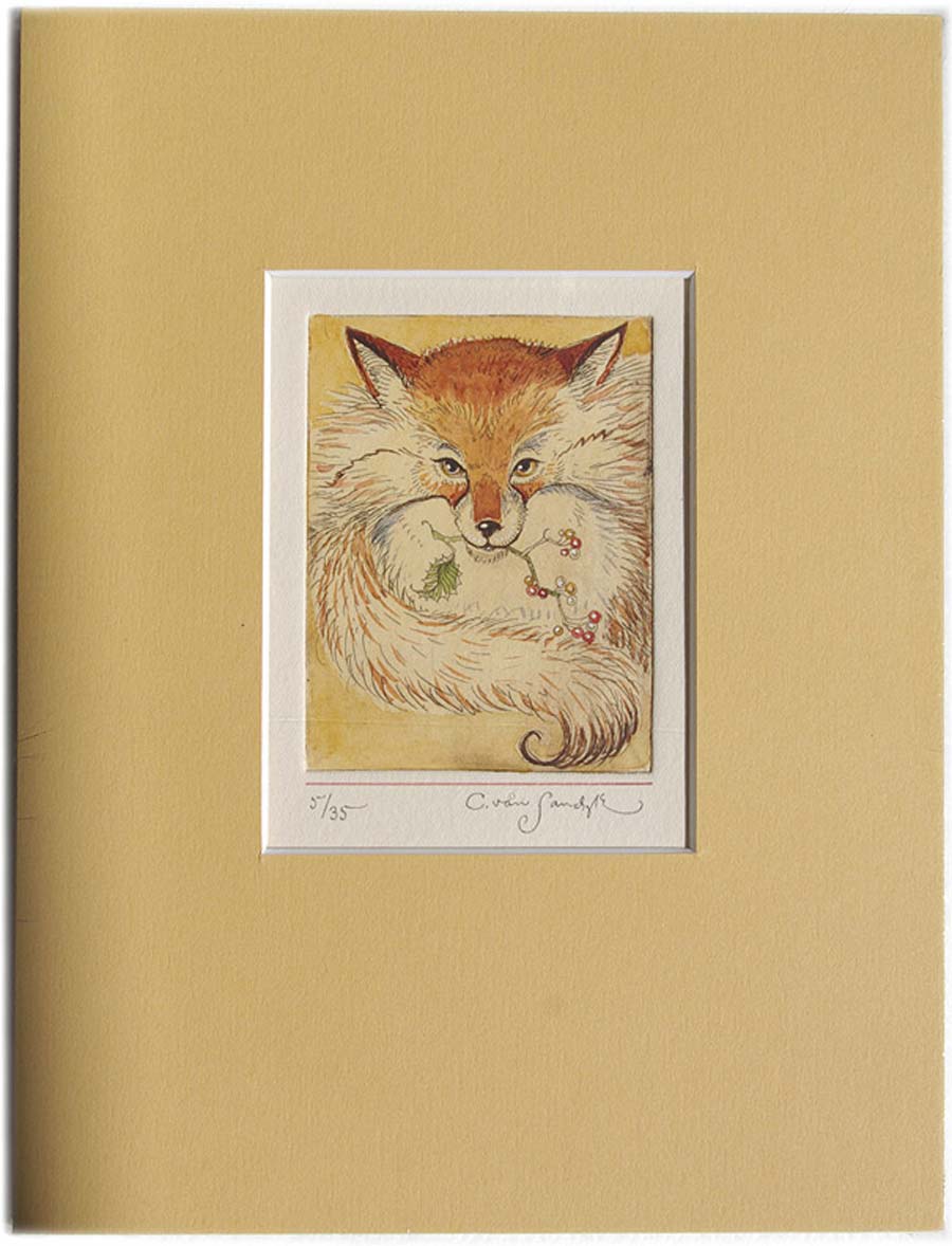 Fox with Mistletoe, painted etching (Charles van Sandwyk)