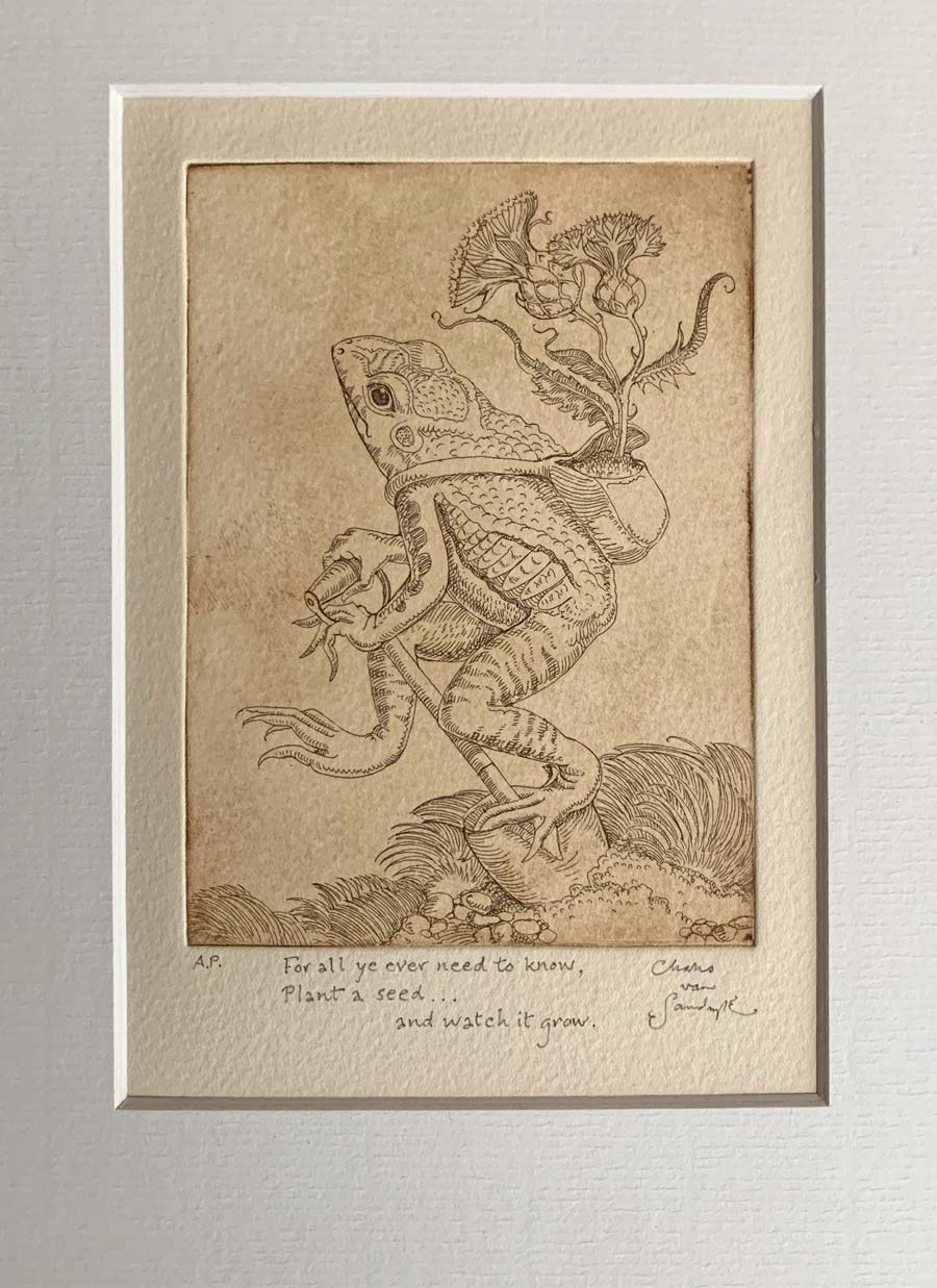Gardener Frog etching (Charles van Sandwyk)