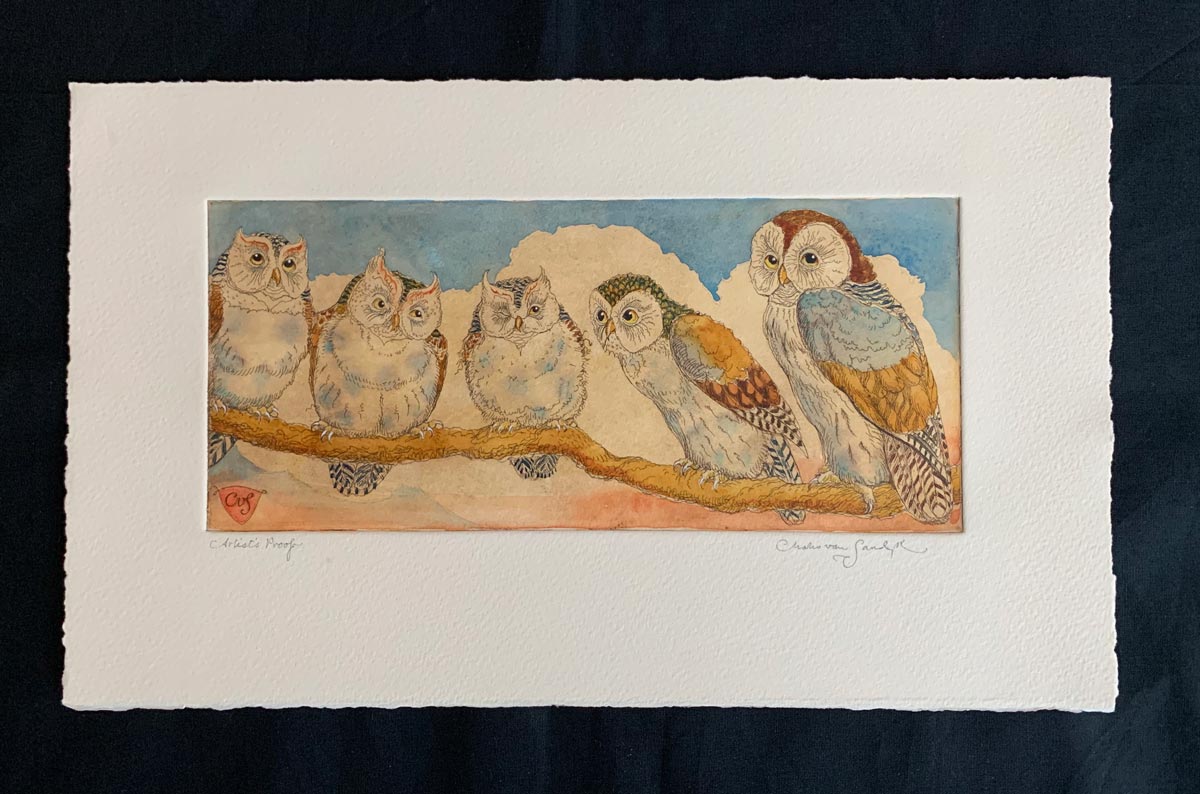 Owls on a Branch, painted etching (Charles van Sandwyk)