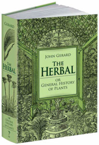 calla gerard herbal 300