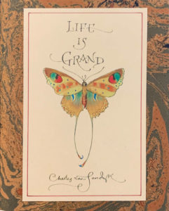 2020-cvs-life-is-grand-cover butterfly