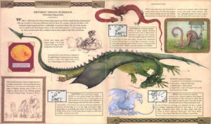 dragonology int spread