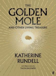 rundell golden mole