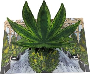 poposition dimensional cannabis 2019 int1