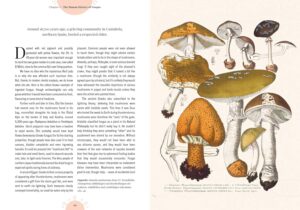 kew garden mushrooms int1