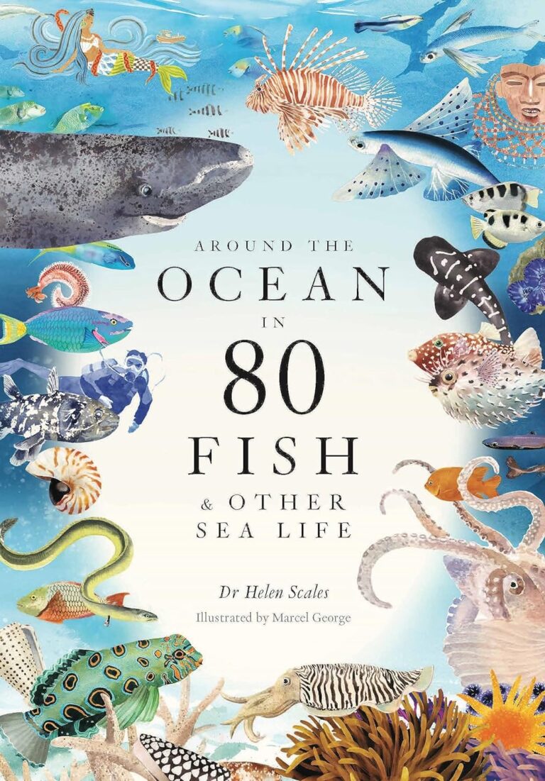 scale around the world in 80 fish
