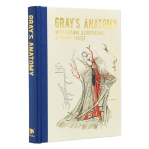 arcturus gilded grays anatomy cover